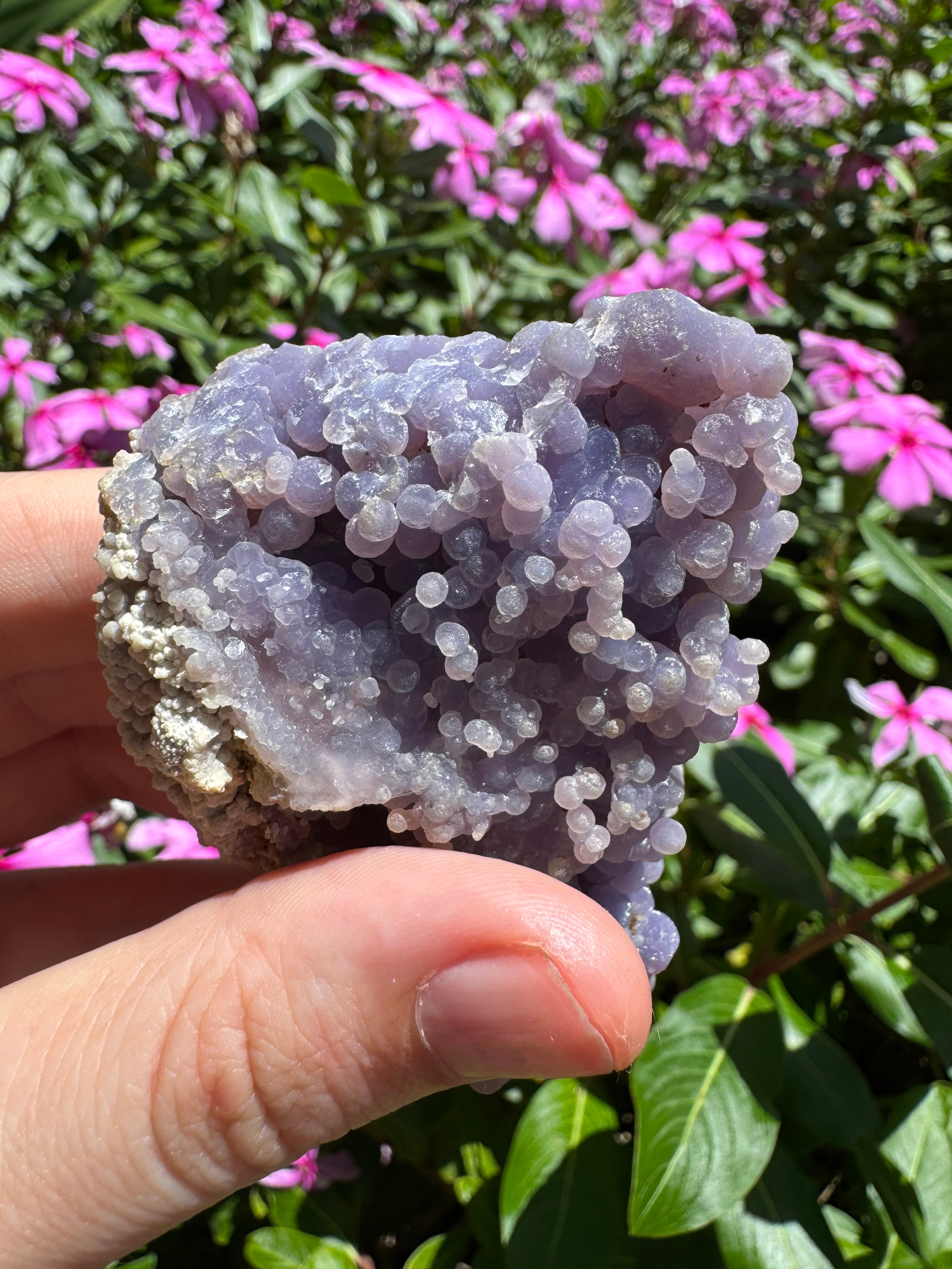 Natural Grape Agate Cluster