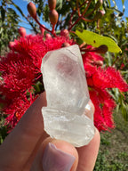 Himalayan Quartz Cluster
