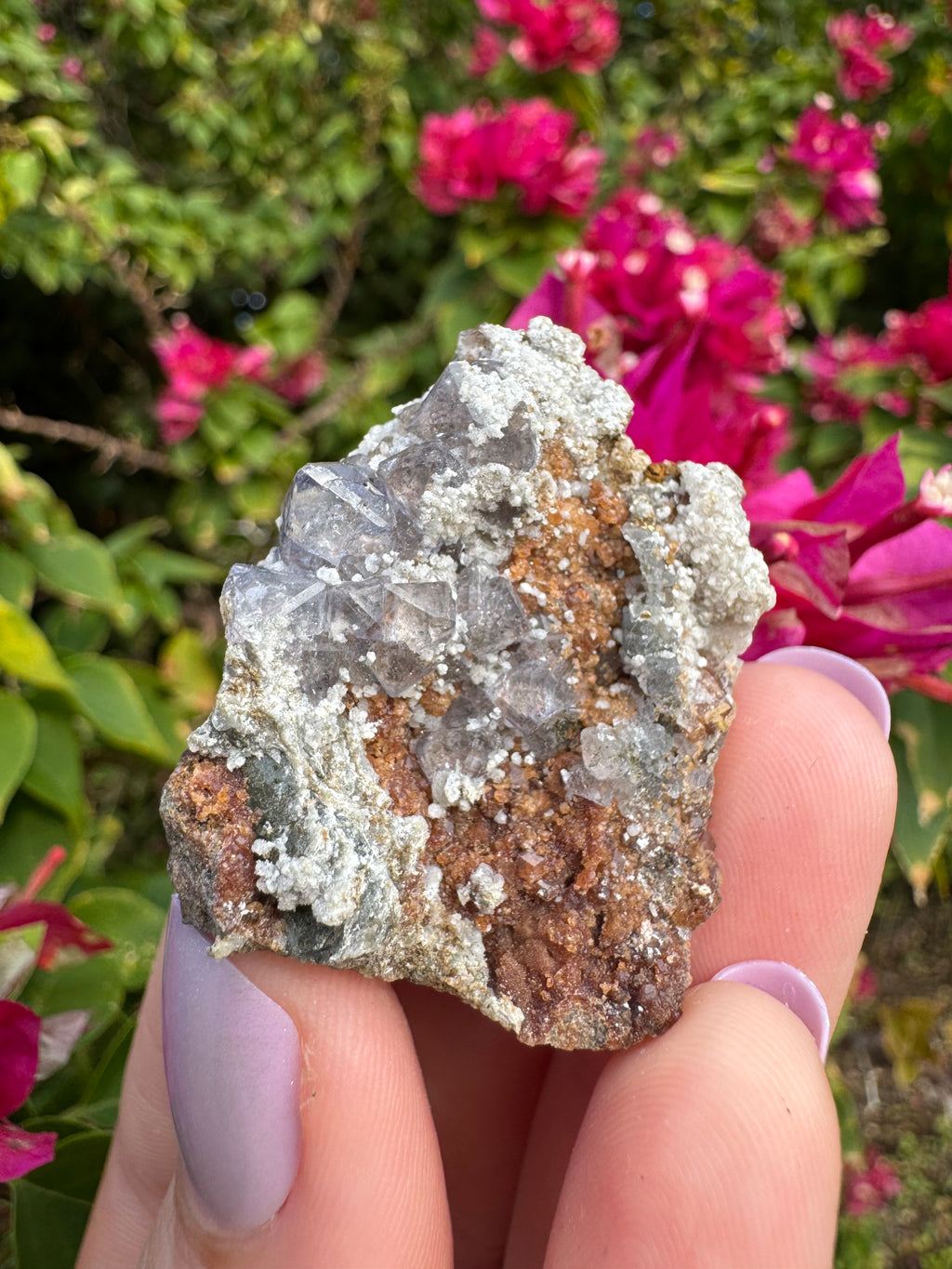 Octahedral Fluorite And Garnet Specimen