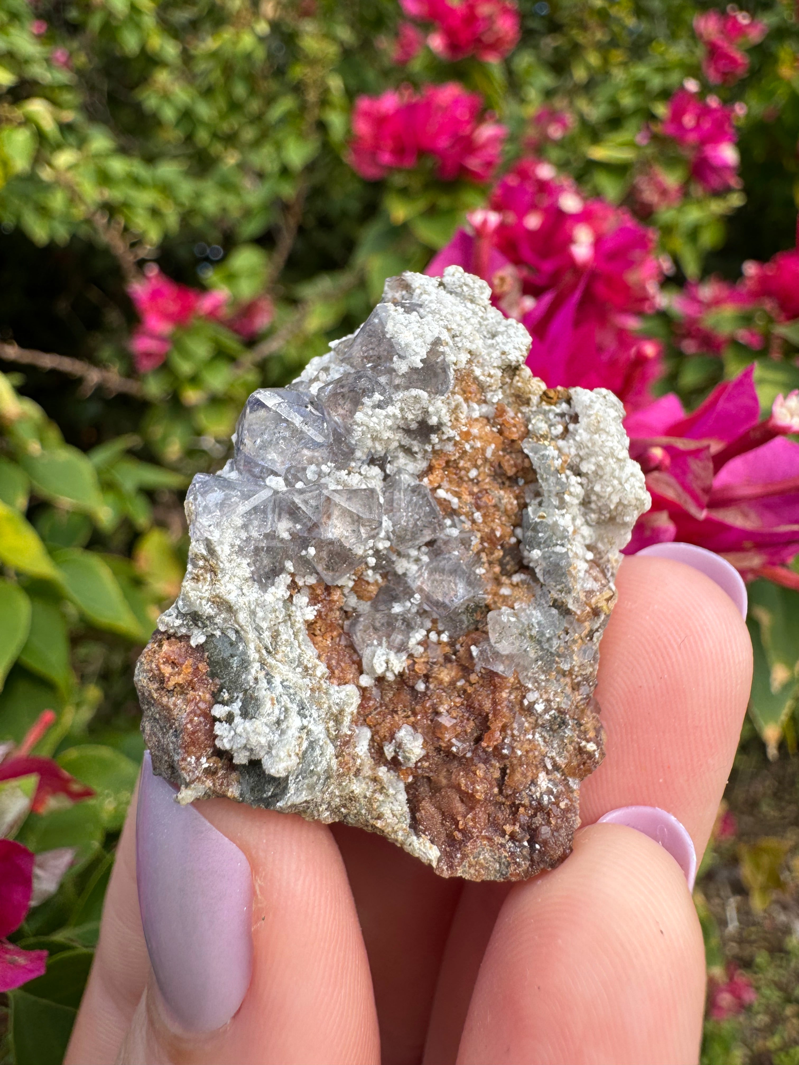 Octahedral Fluorite And Garnet Specimen