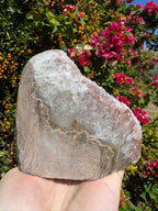 Pink Rainbow Amethyst Druzy Standing Geode – 1.229kg