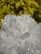 Clear Quartz Cluster
