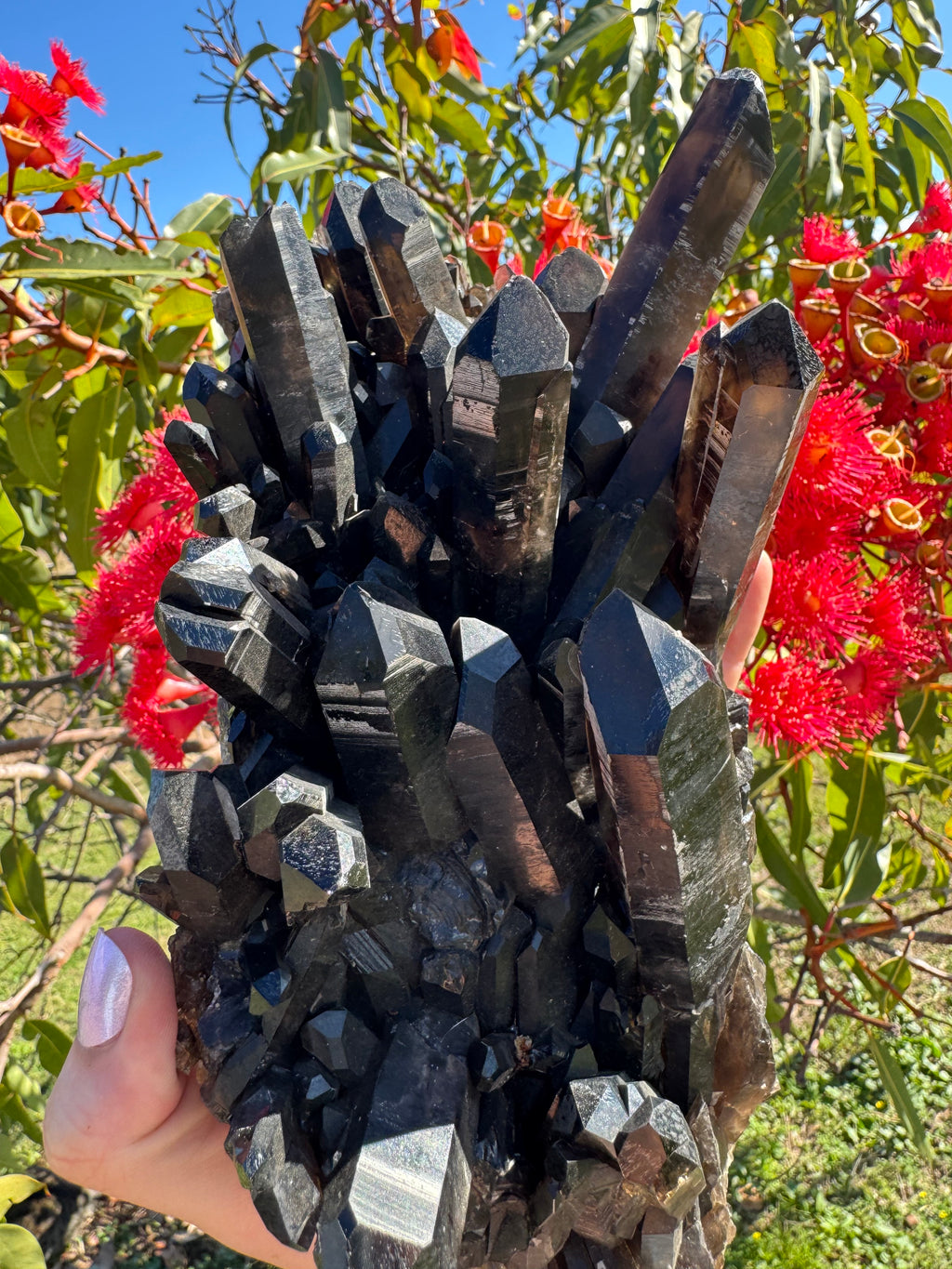 Deep Black Smoky Quartz Cluster - 2.049kg