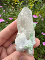 Green Tourmaline in Quartz Point - Pakistan