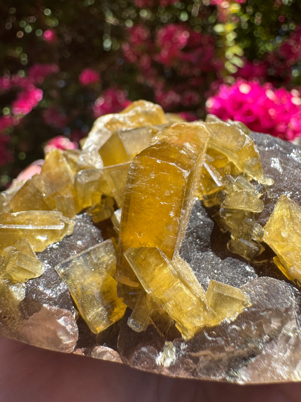 Golden Barite With Botryoidal Chocolate Calcite Specimen | 1.6kg