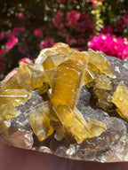 Golden Barite With Botryoidal Chocolate Calcite Specimen | 1.6kg