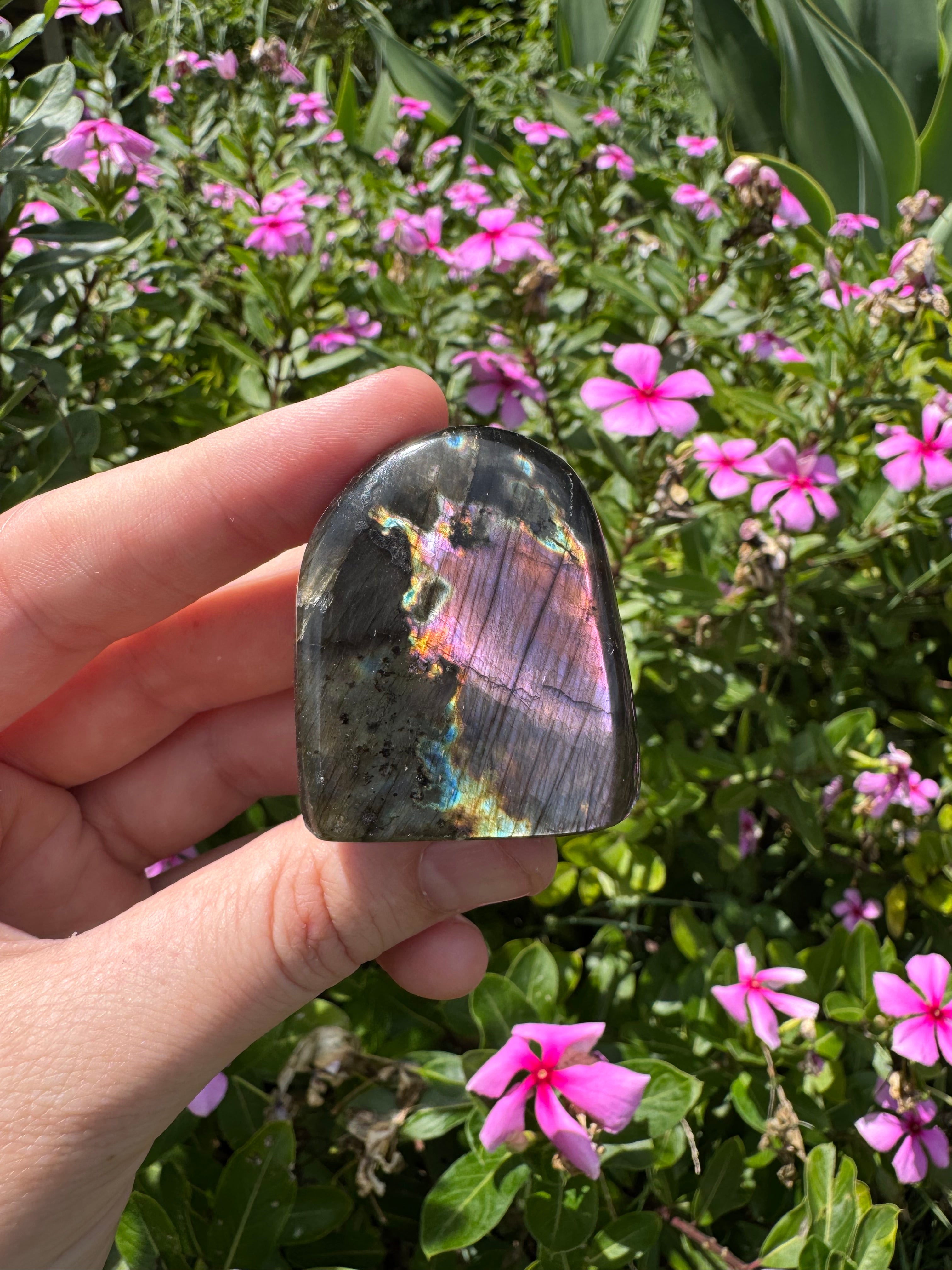 Spectrolite Labradorite Freeform