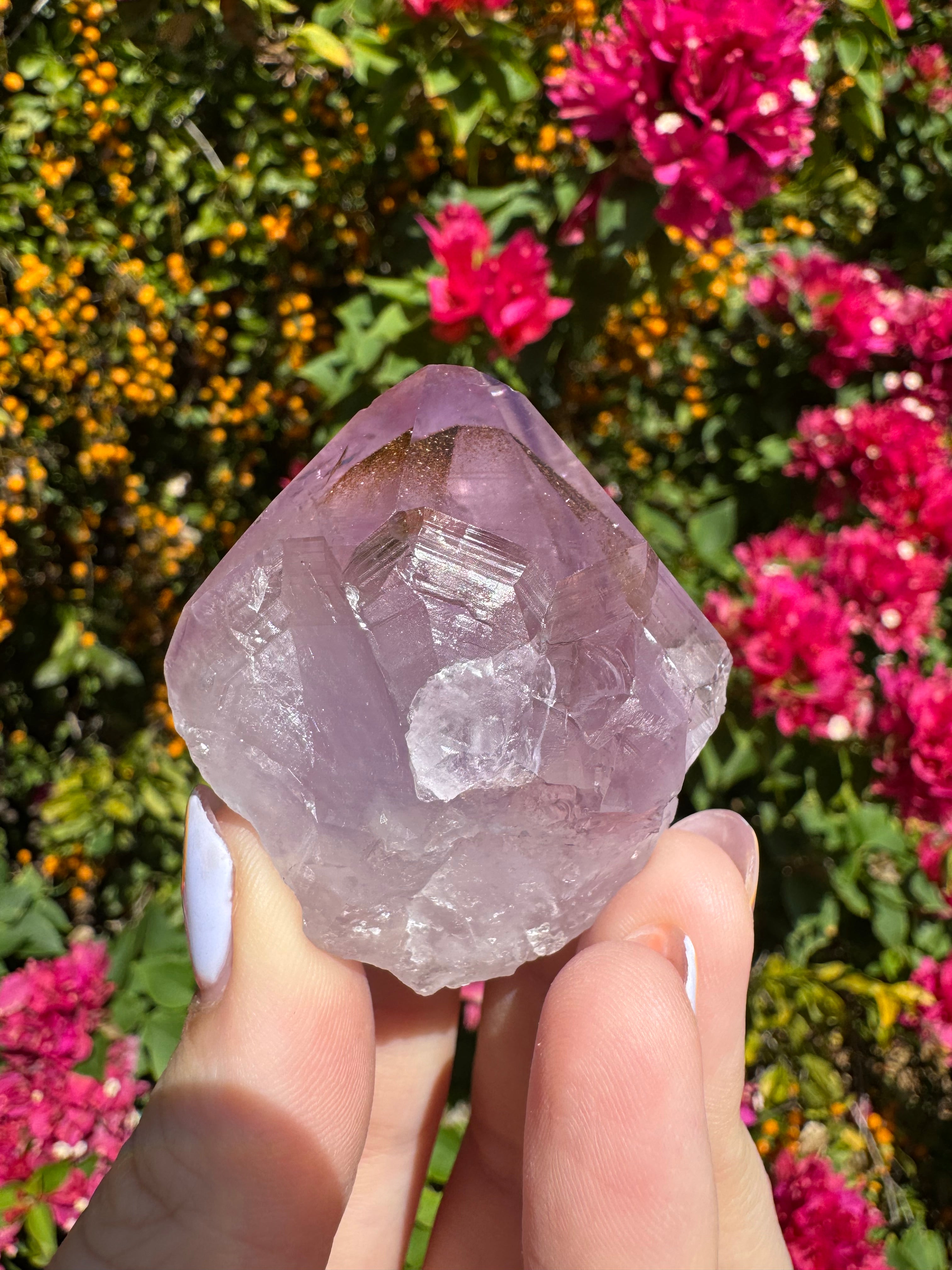 Collector’s Nigerian Phantom Amethyst with Record Keepers