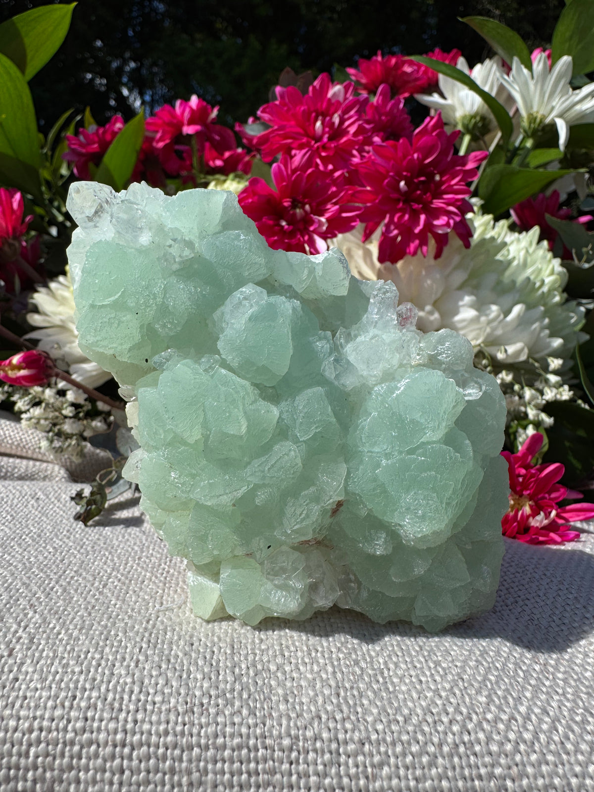 Quartz On Botryoidal Prehnite with Black Tourmaline Specimen