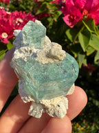 Eronga Aquamarine Specimen - High Quality