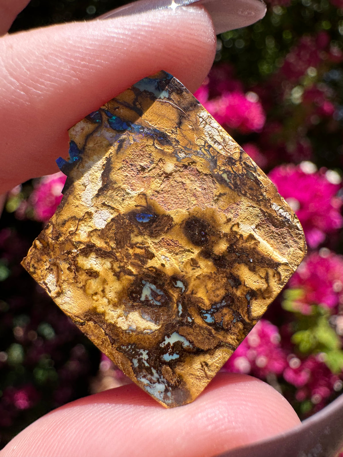 Polished Boulder Opal | Karoit