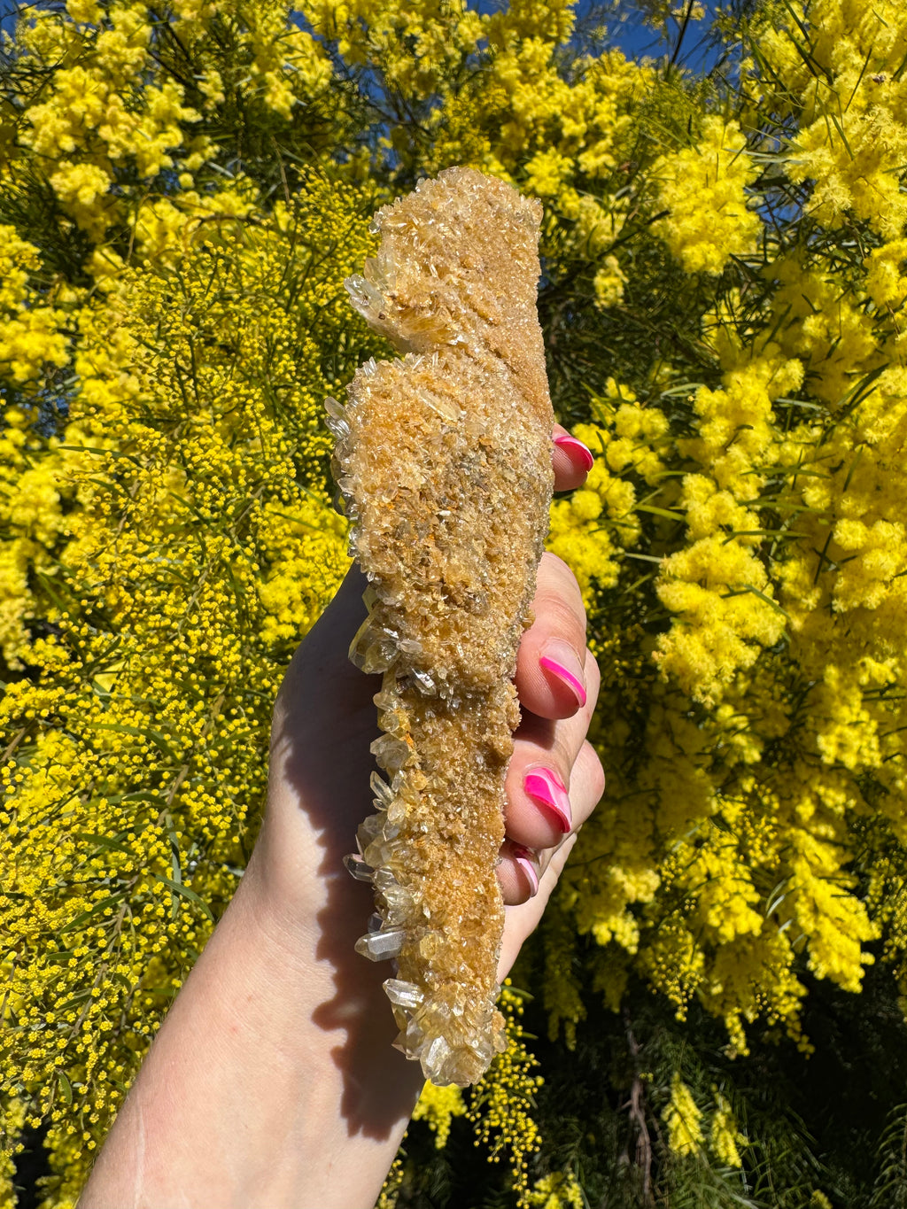 Golden Healer Quartz Floater Cluster with Multiple DT Crystals - High Quality