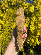 Golden Healer Quartz Floater Cluster with Multiple DT Crystals - High Quality