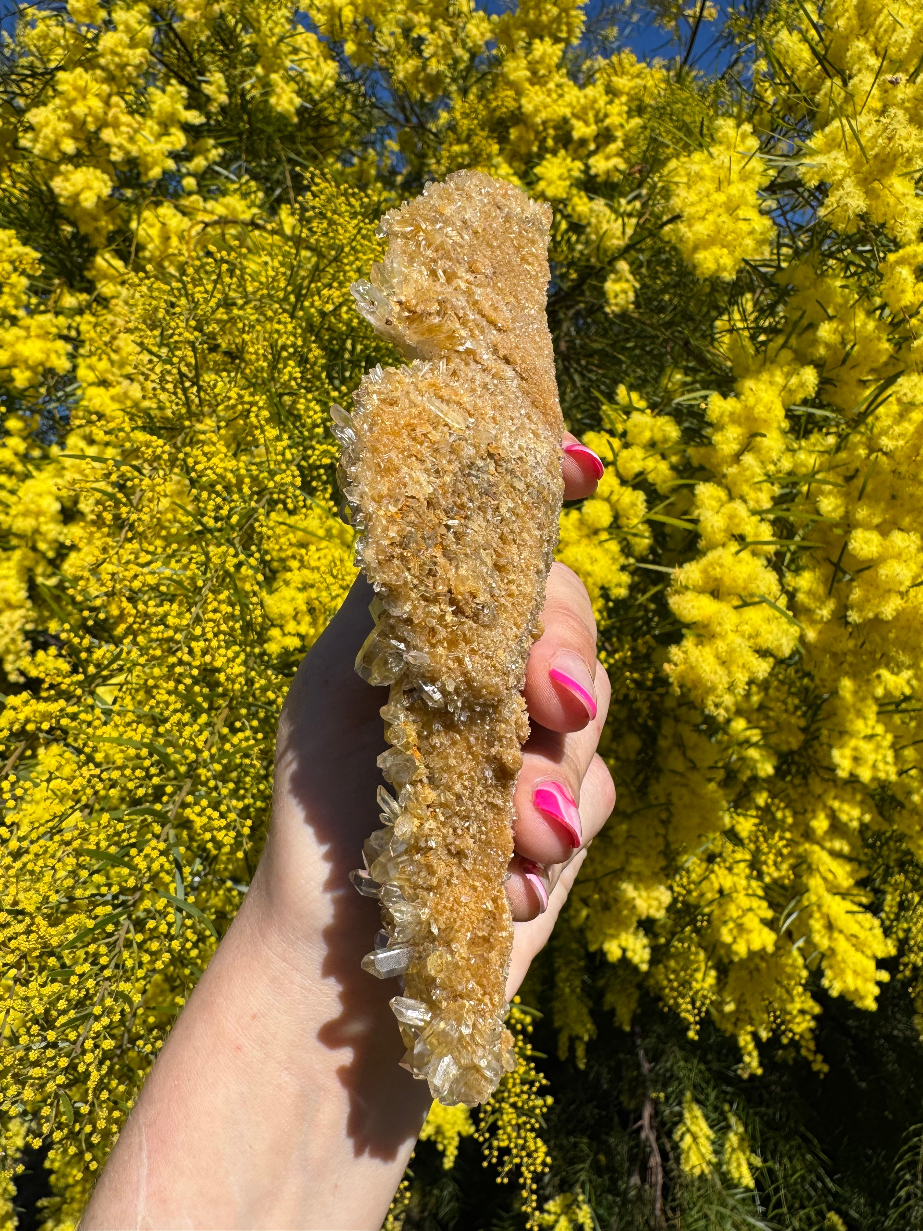 Golden Healer Quartz Floater Cluster with Multiple DT Crystals - High Quality