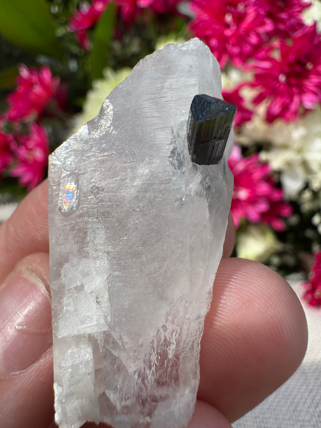 Green Capped Tourmaline in Quartz Specimen