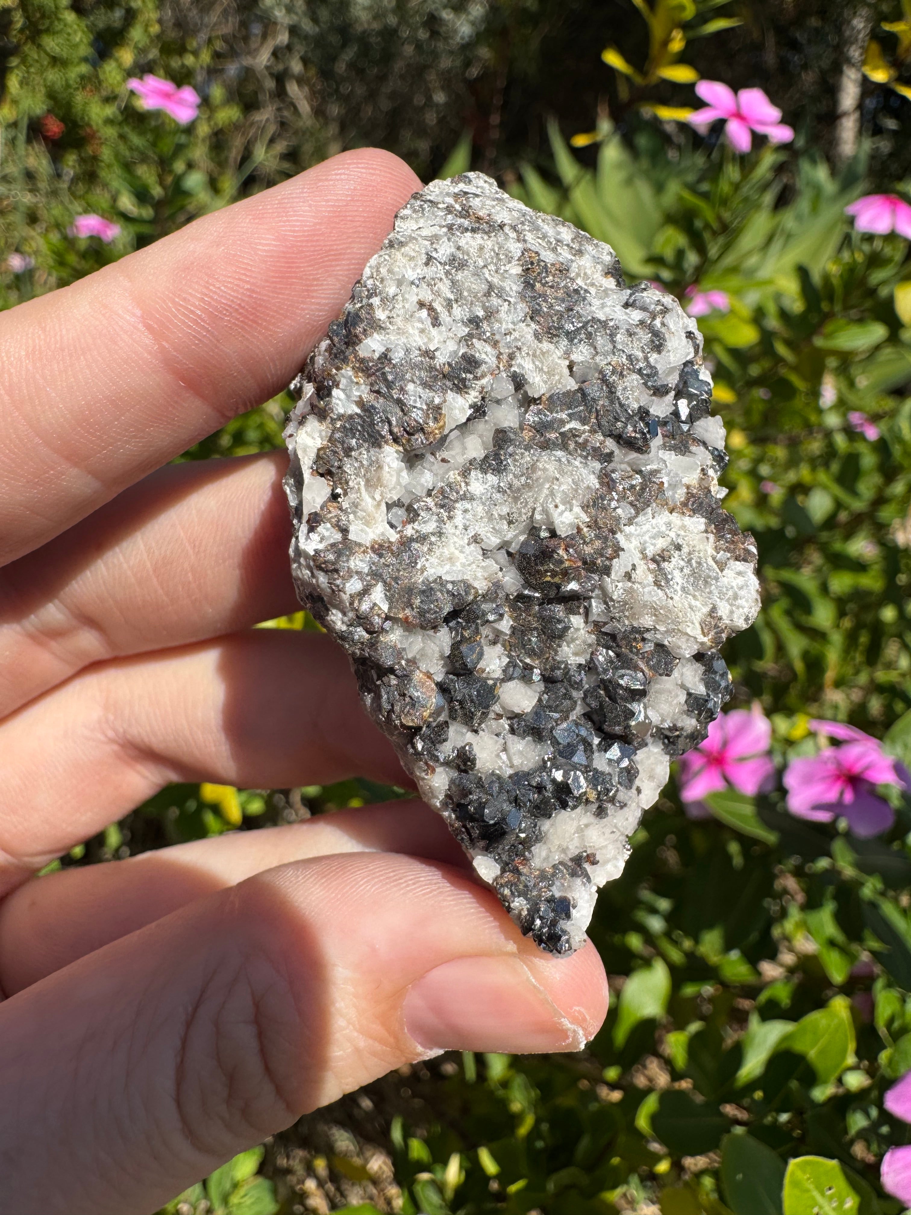 Galena On Quartz Specimen