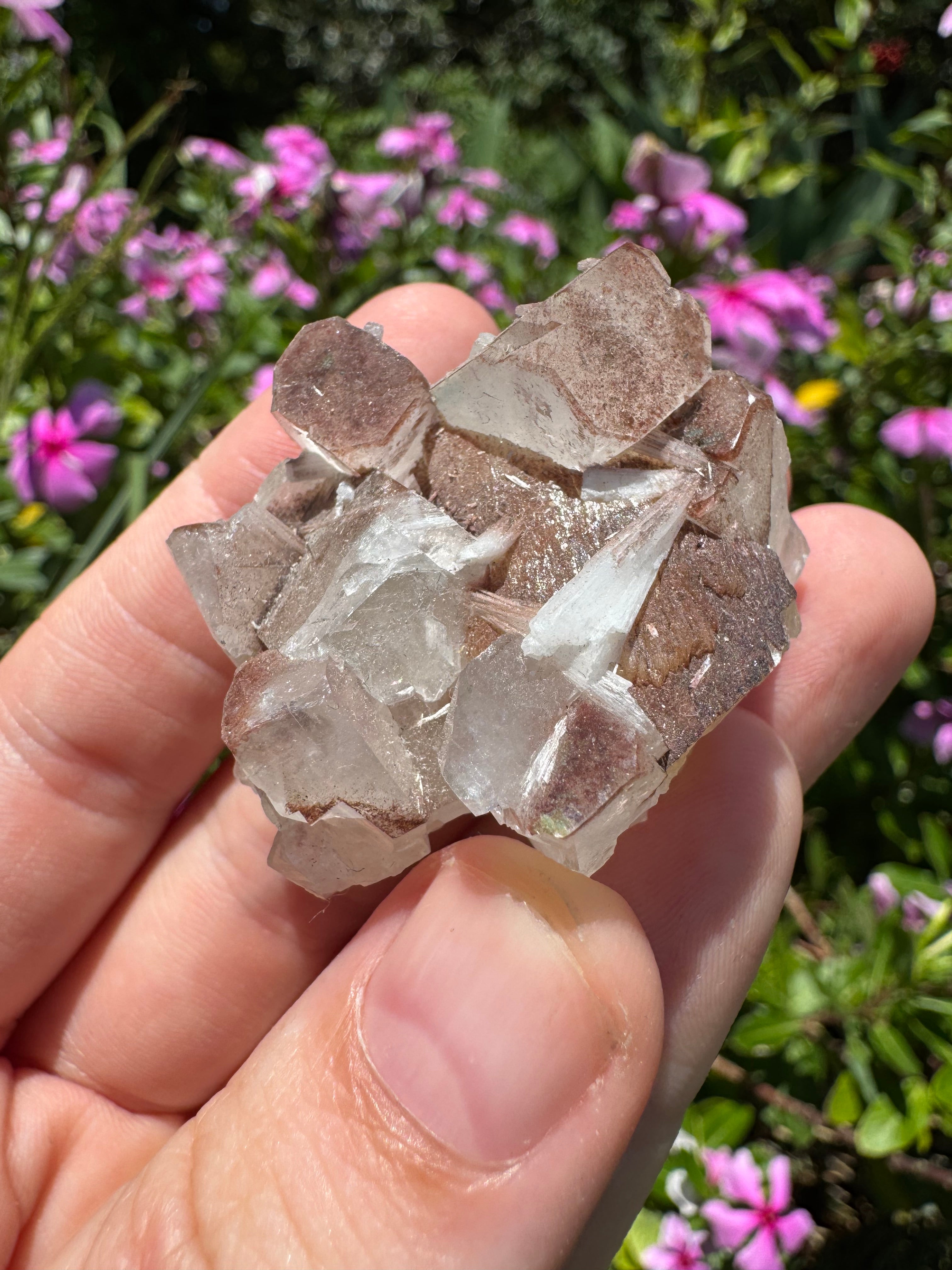 Red Phantom Apophyllite With Scolecite Specimen