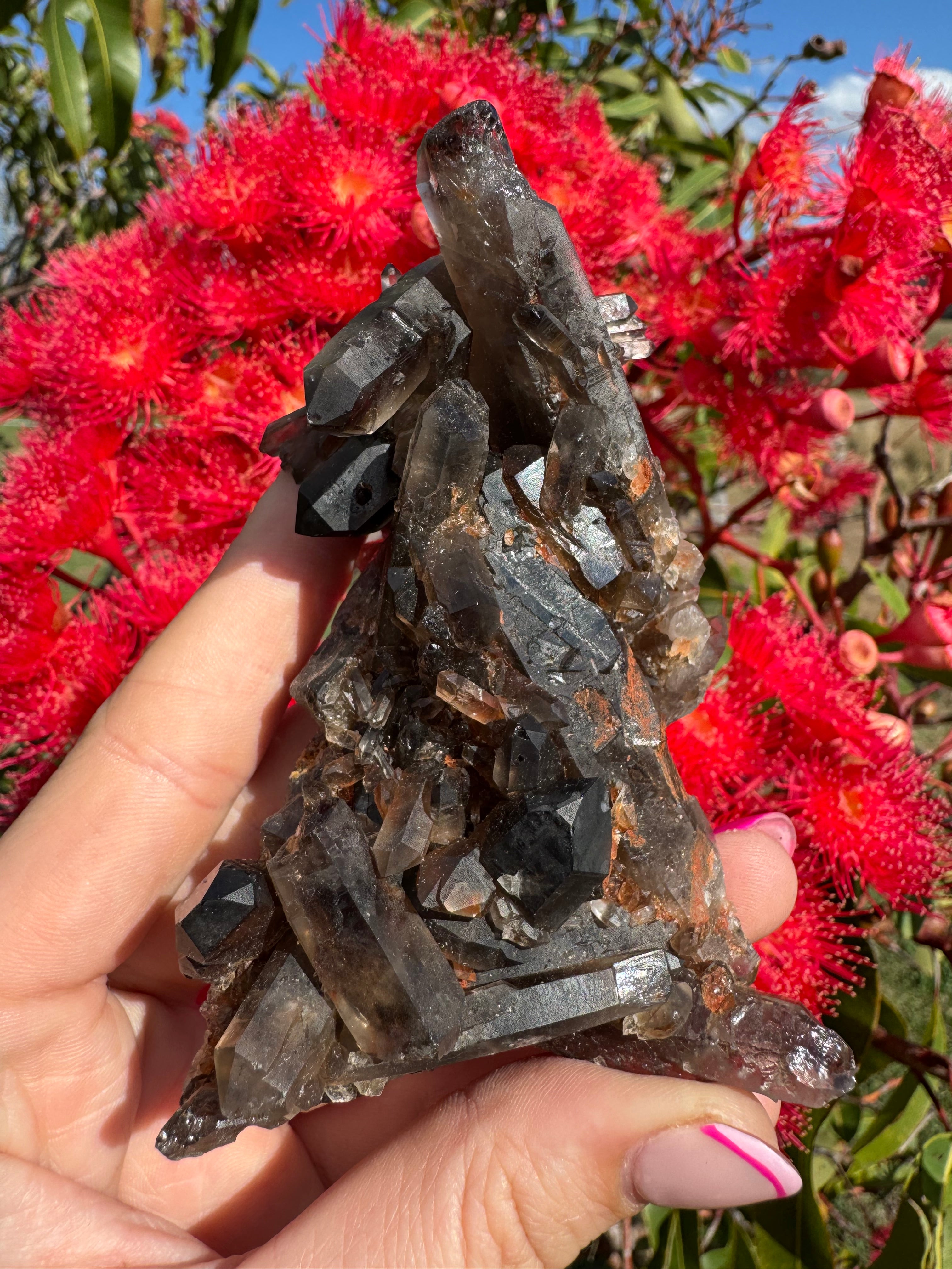 Deep Black Smoky Quartz with Hematite Cluster