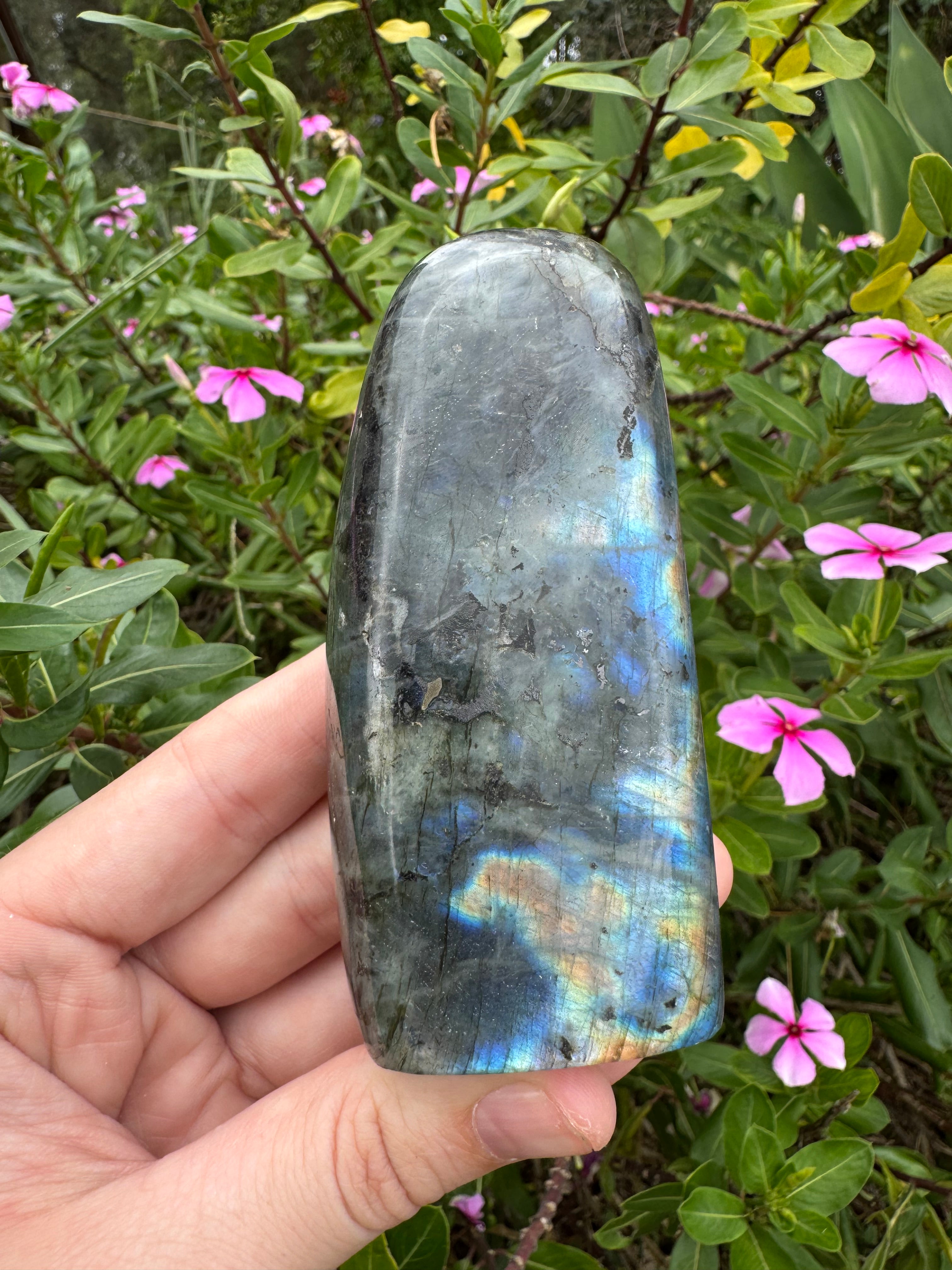 Labradorite Standing Freeform