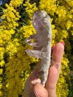 Vera Cruz Amethyst Specimen