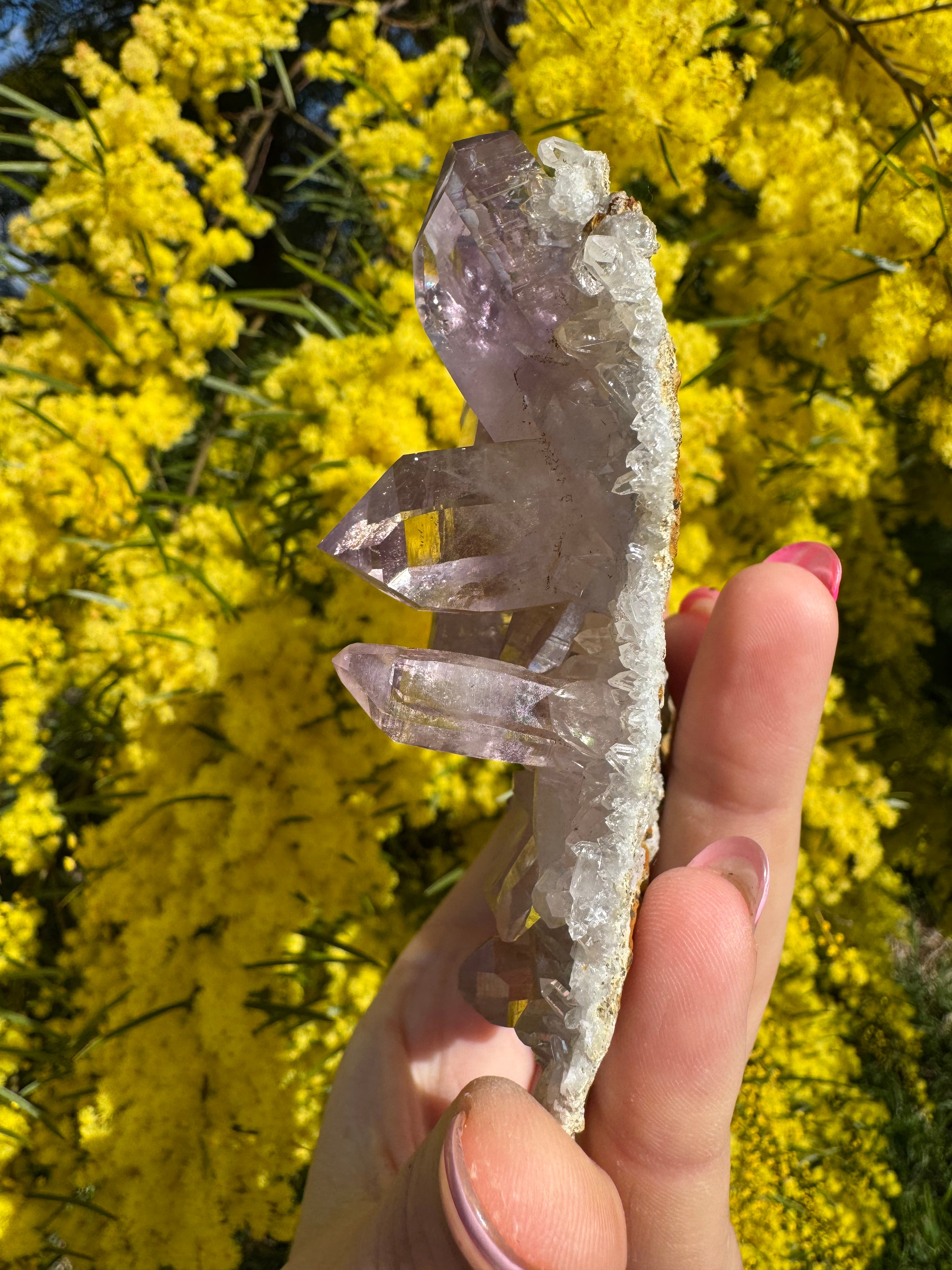Vera Cruz Amethyst Specimen