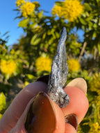 Kingsgate Molybdenite Collector Specimen