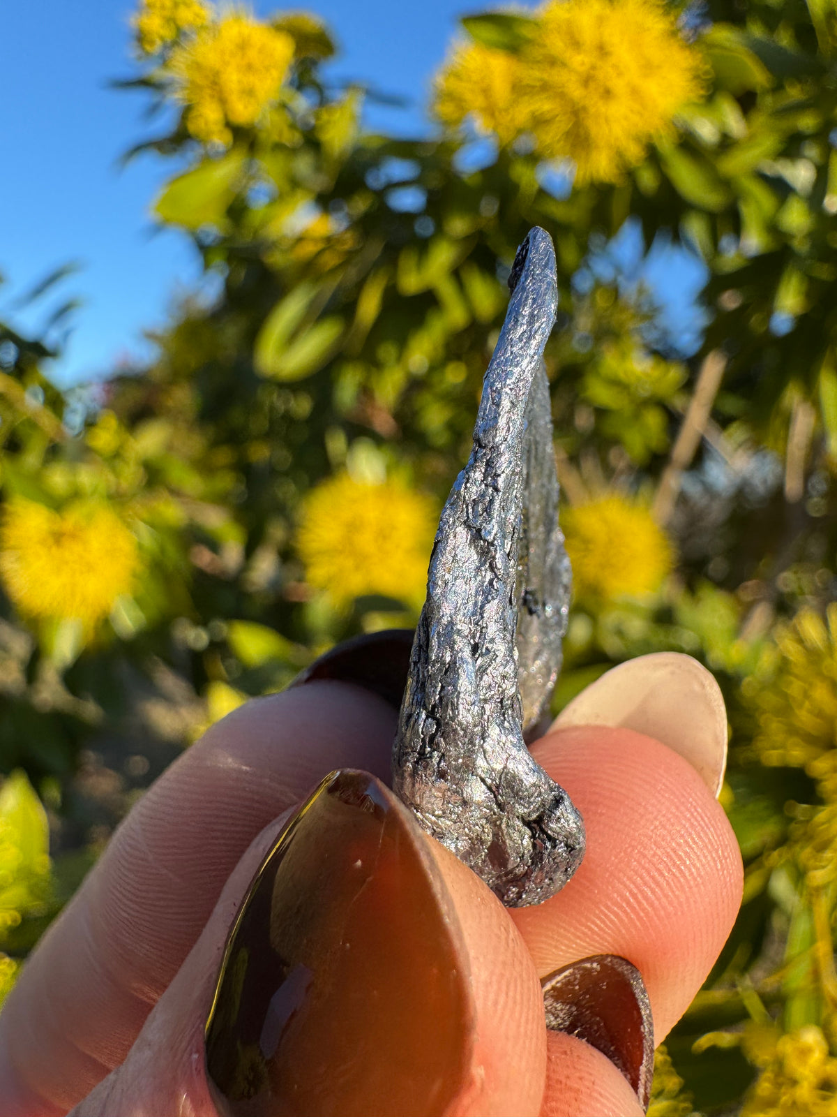 Kingsgate Molybdenite Collector Specimen