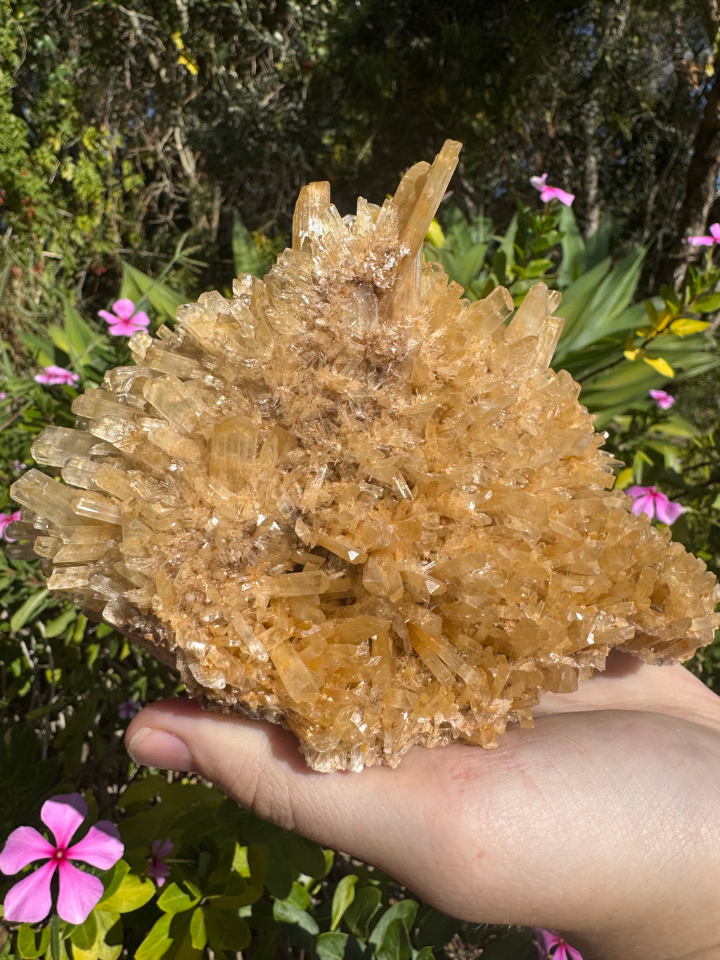 Selenite ‘Gypsum’ Natural Specimen