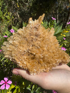 Selenite ‘Gypsum’ Natural Specimen
