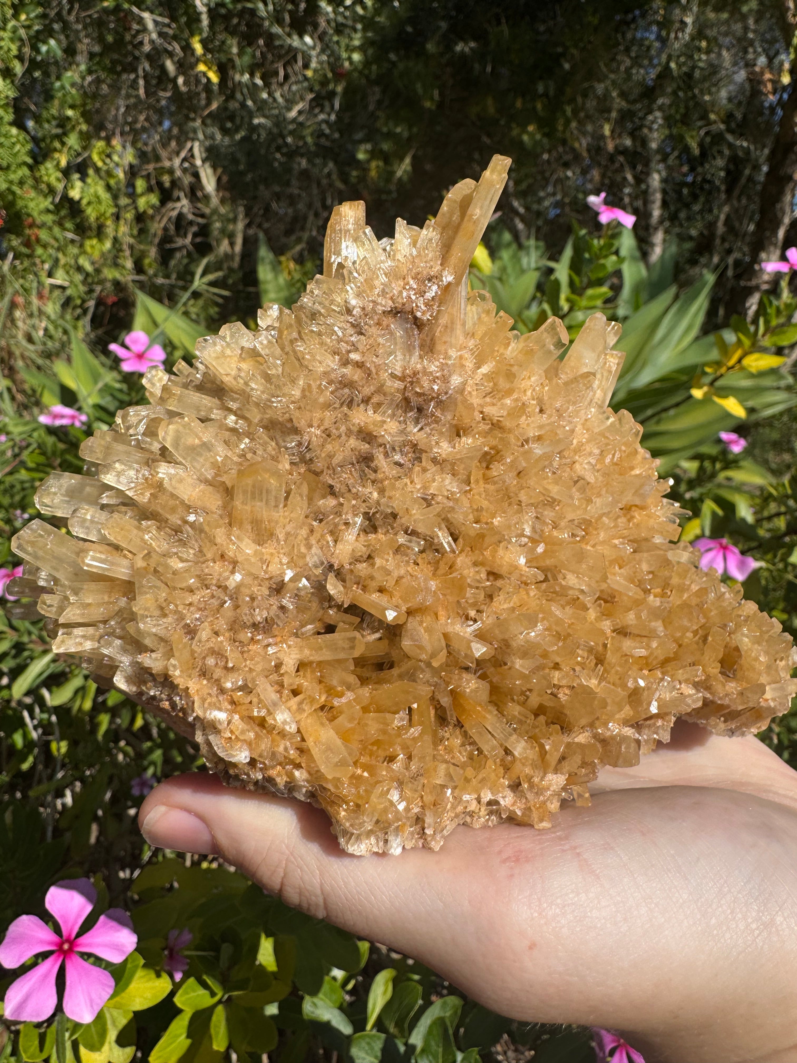Selenite ‘Gypsum’ Natural Specimen