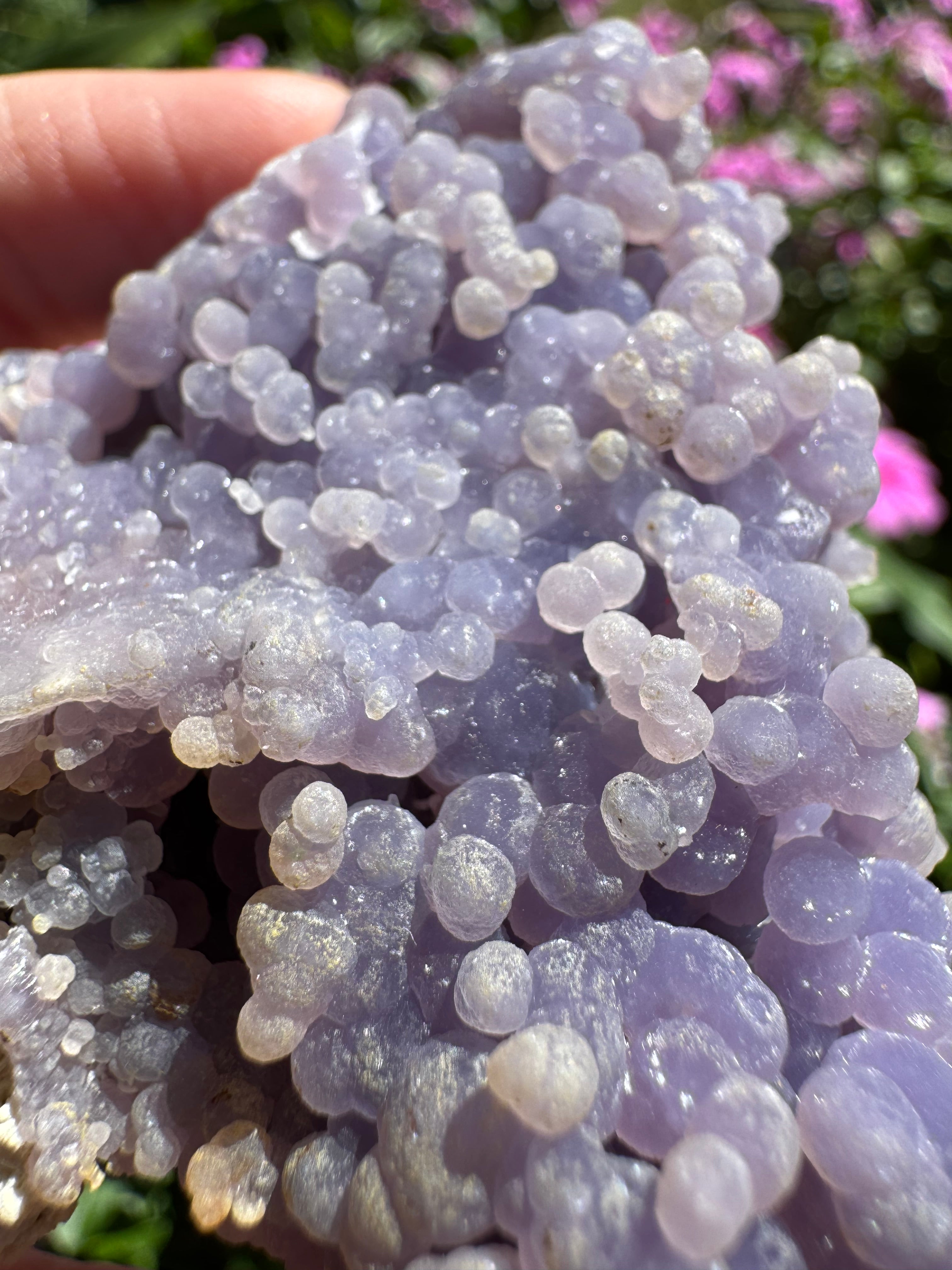 Natural Grape Agate Cluster