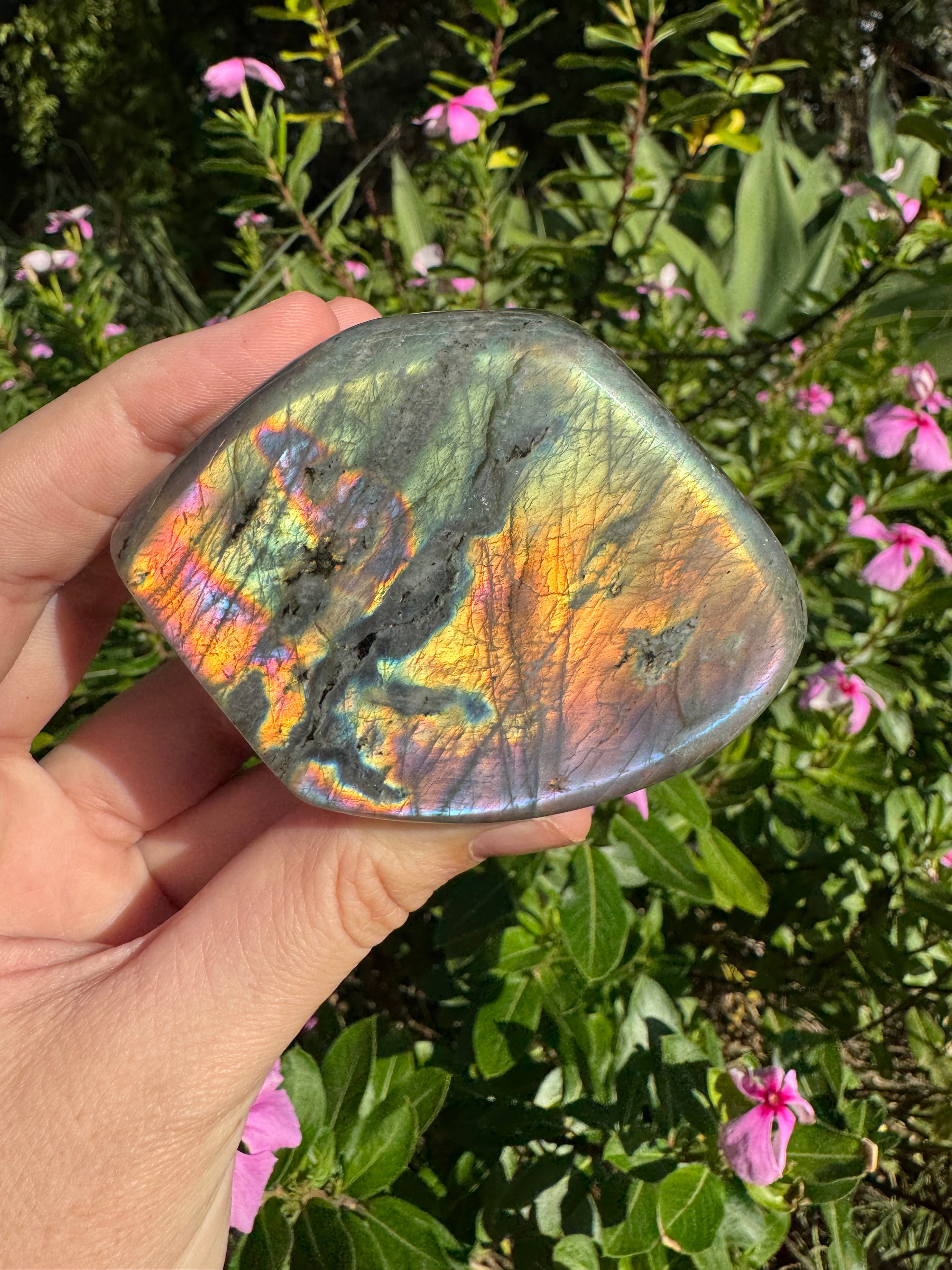 Labradorite Standing Freeform