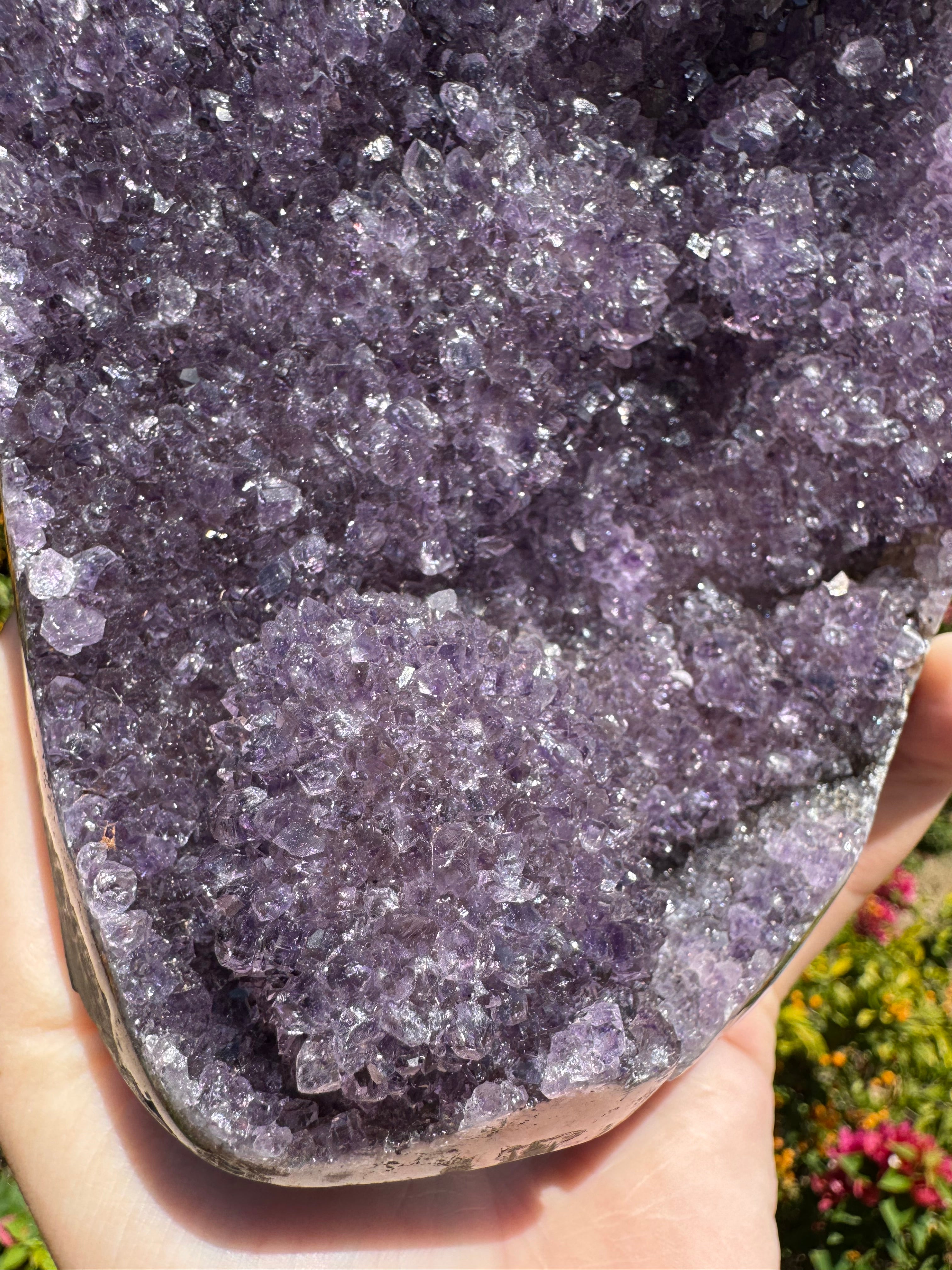 Amethyst Druzy Standing Geode  – 1.685kg