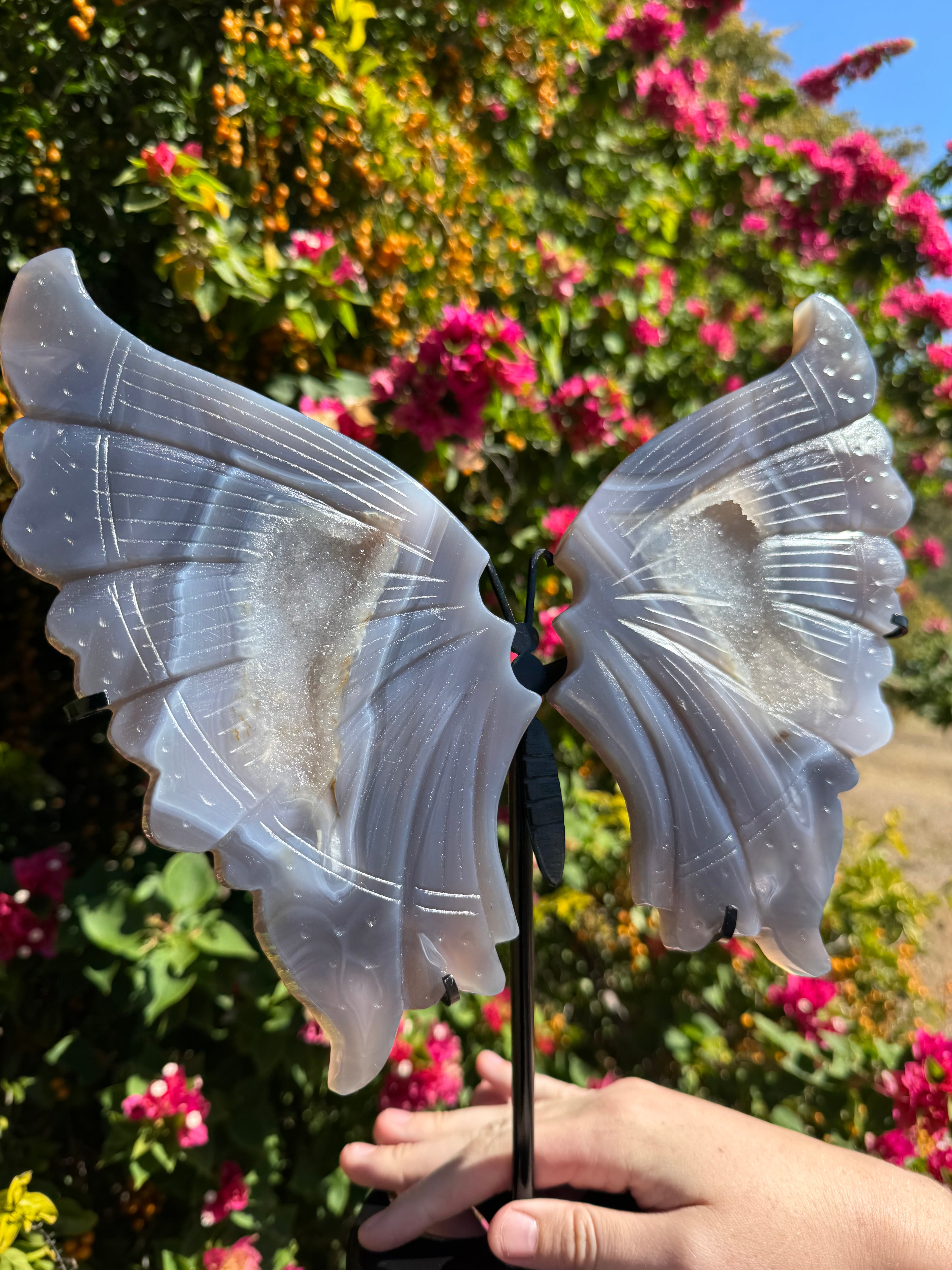 Druzy Agate Wings on Stand