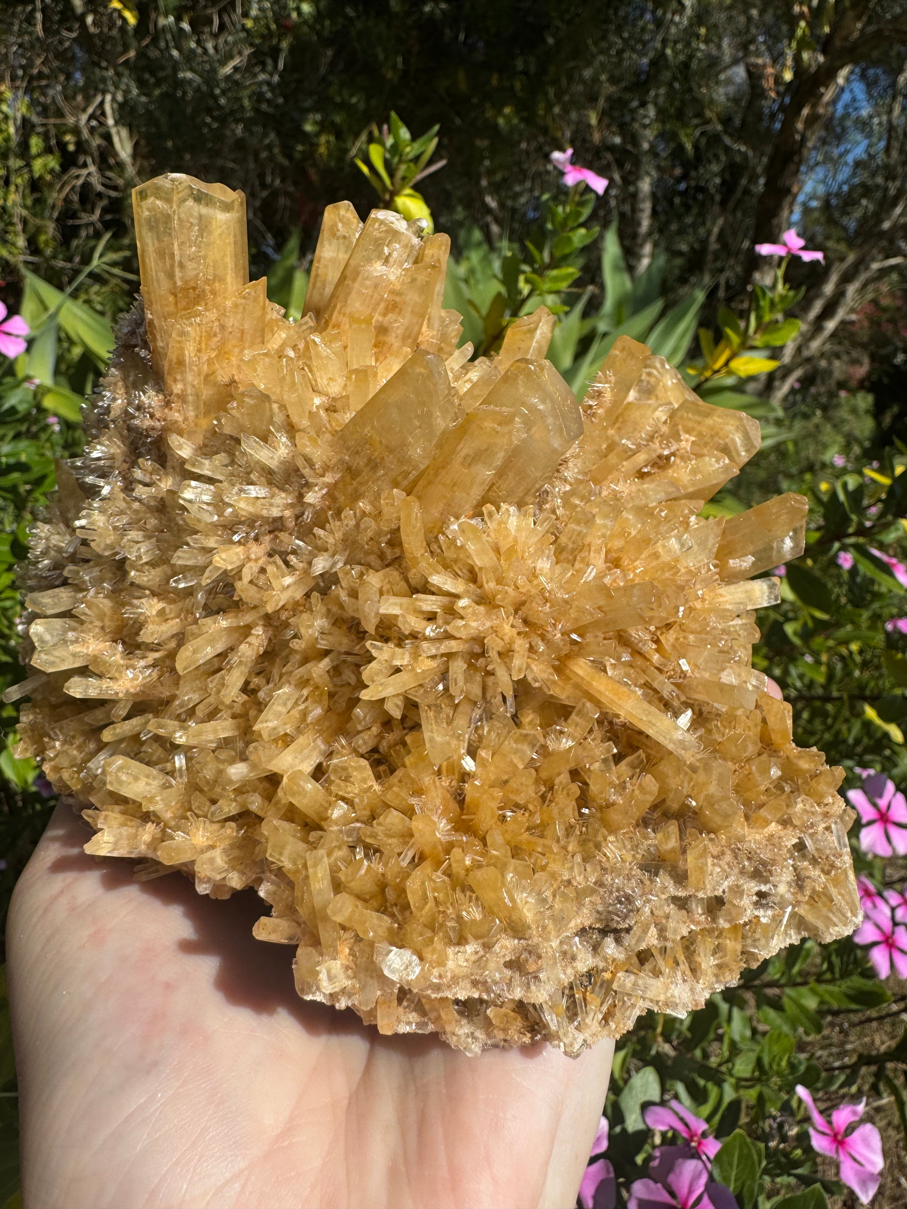 Selenite ‘Gypsum’ Natural Specimen