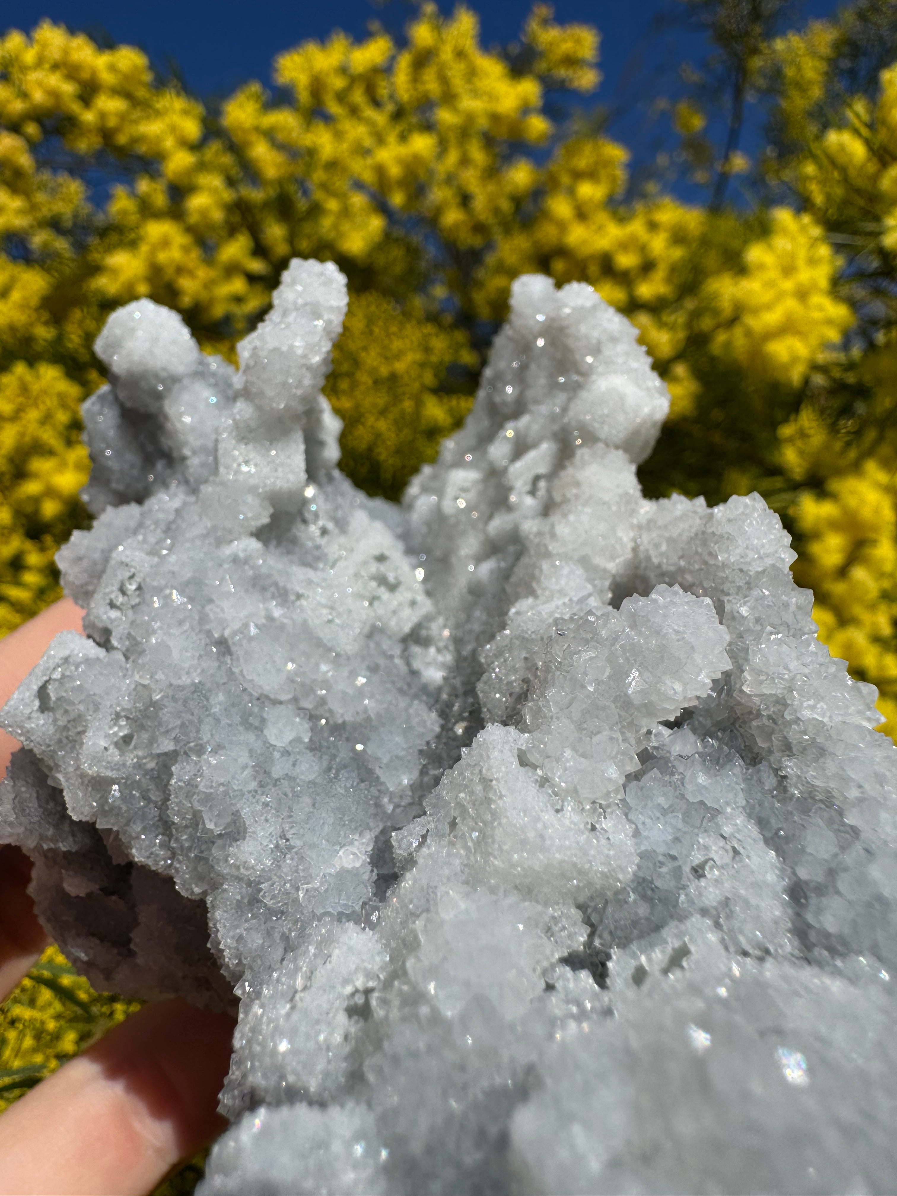 Cubic Sugar Coated Fluorite ‘Dragon’ Specimen