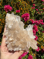 Pink Himalayan Samadhi Quartz Cluster