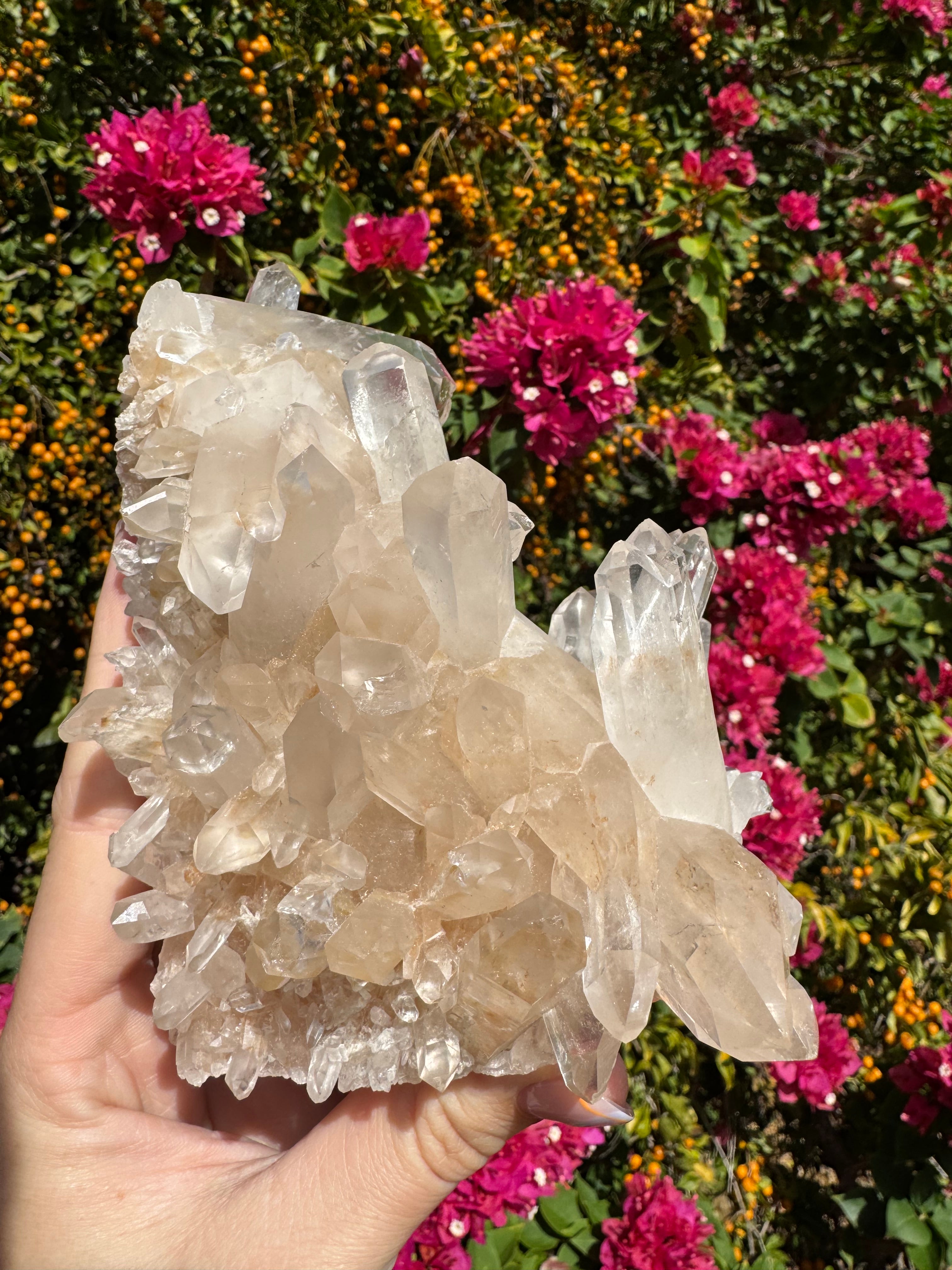 Pink Himalayan Samadhi Quartz Cluster