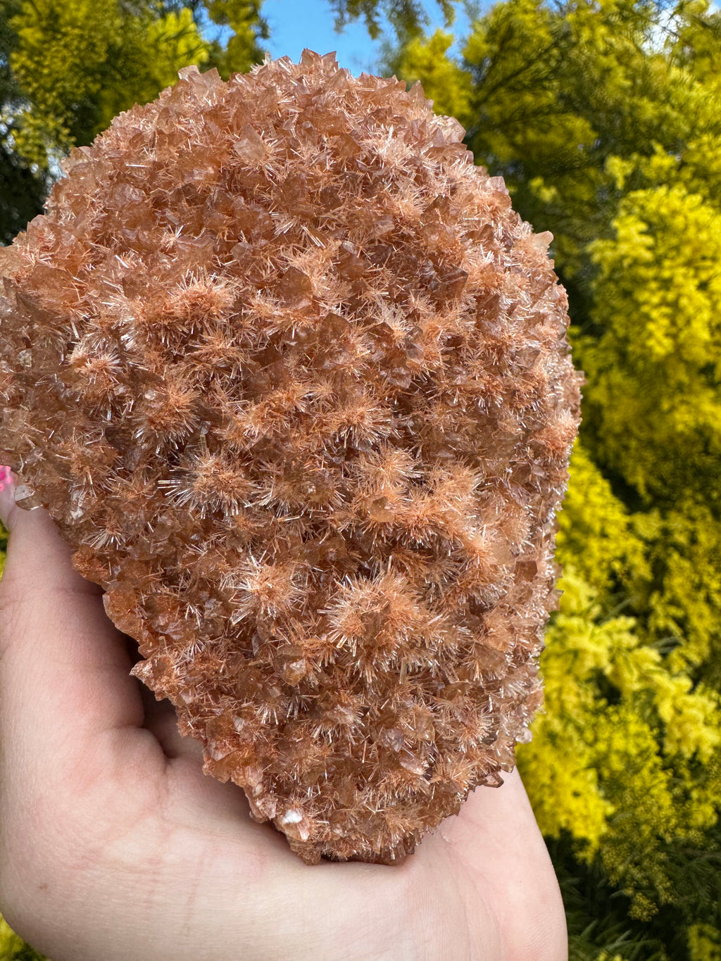 Red Selenite ‘Gypsum’ Specimen - Port Hedland