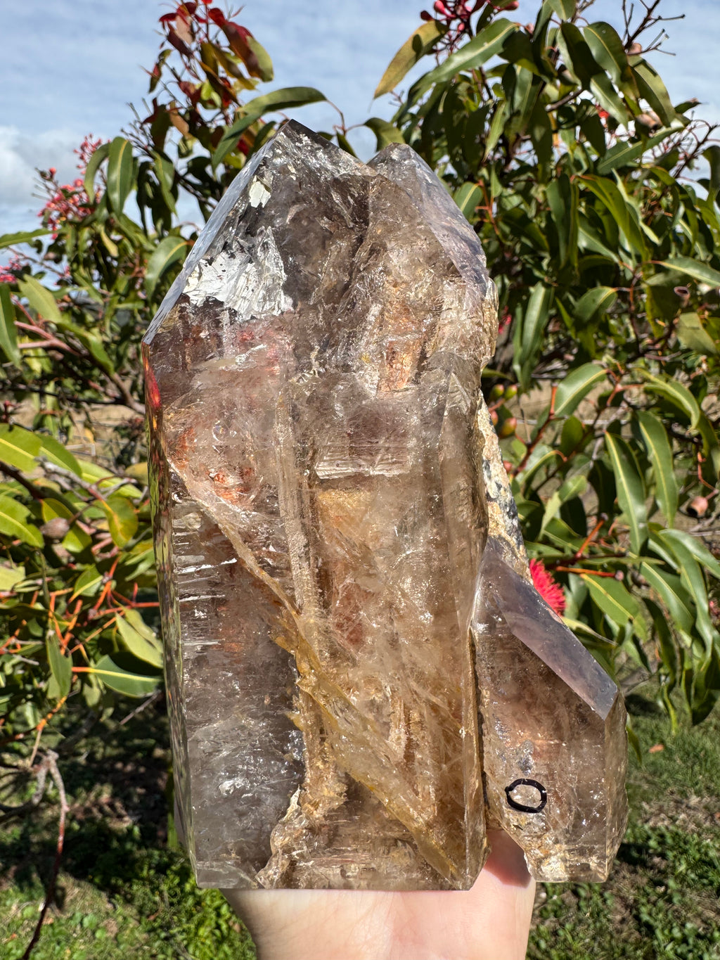 Rare Windowed Included Smoky Quartz Freeform - Triple Enhydro