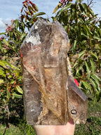 Rare Windowed Included Smoky Quartz Freeform - Triple Enhydro