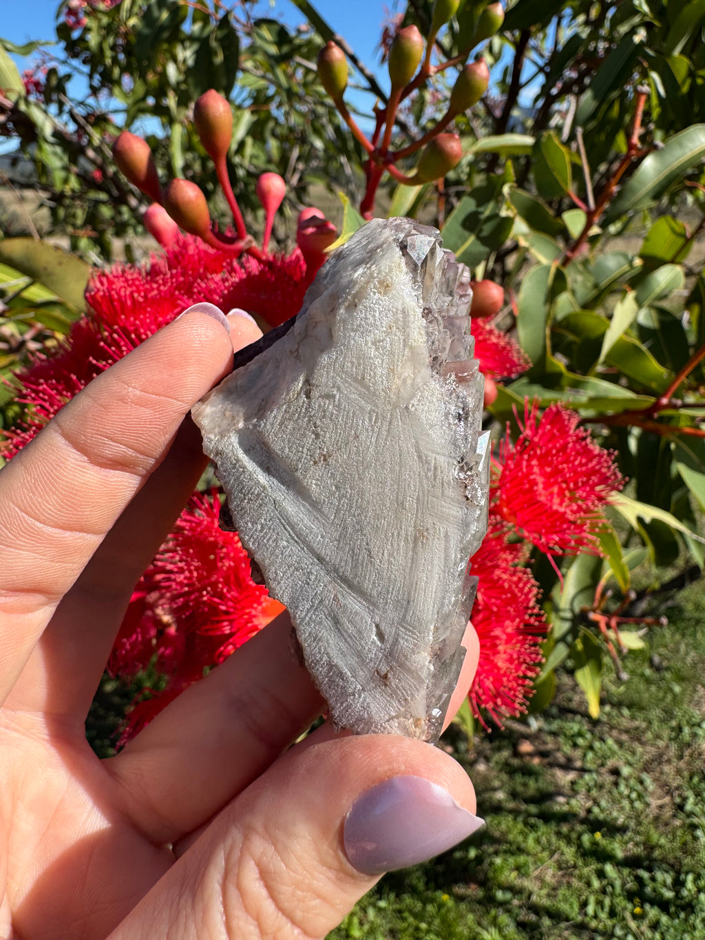 Hematite Coated Smoky Quartz Cluster - Mt Isa