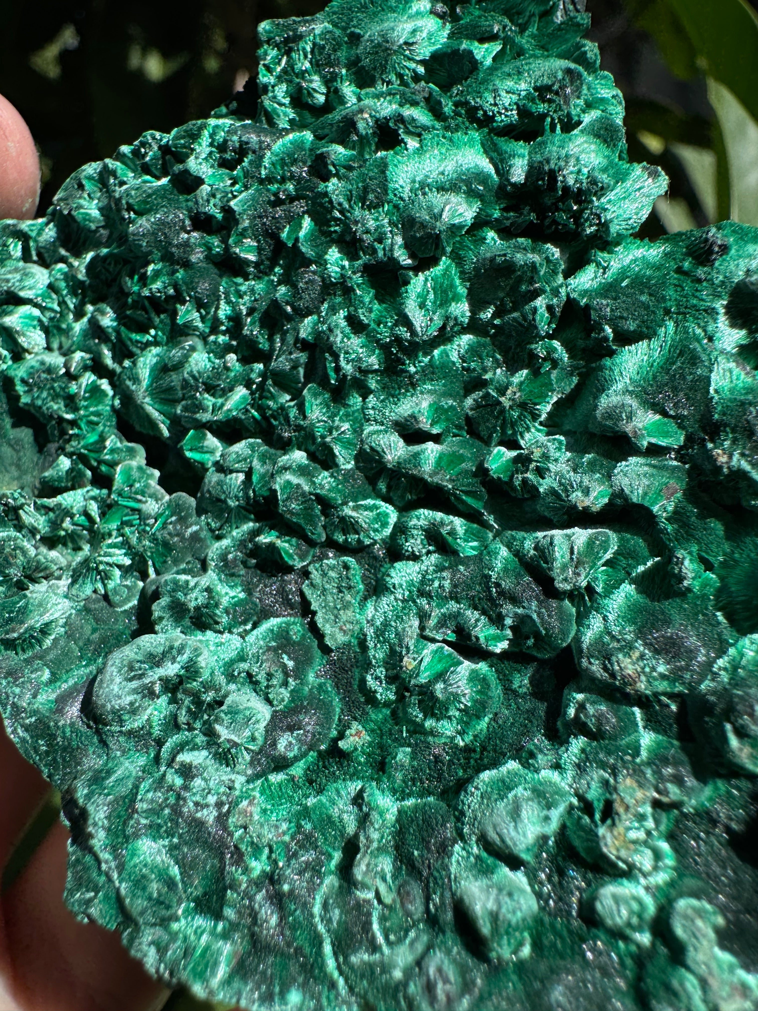 Malachite ‘Fibrous’ Specimen