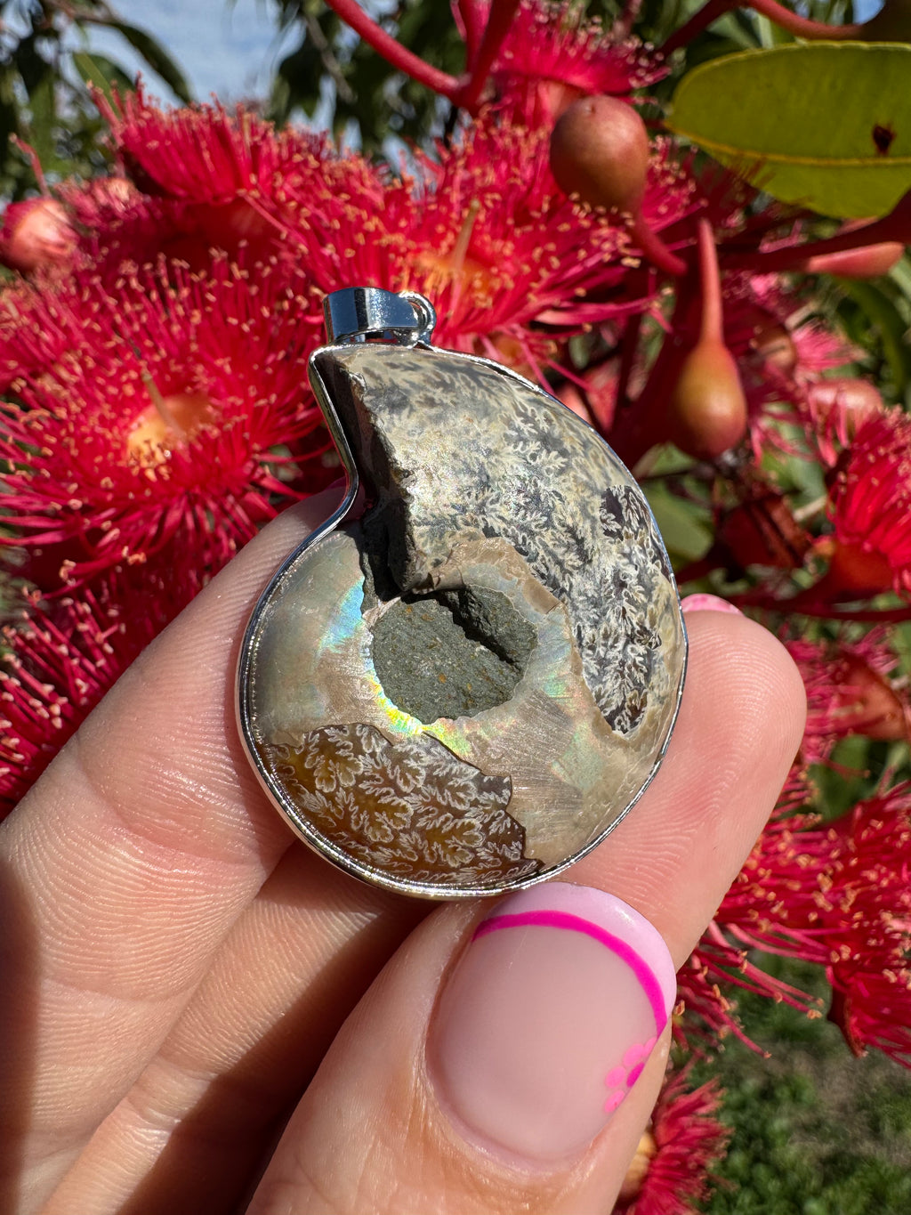 Opalised Dendritic Ammonite Fossil Pendant