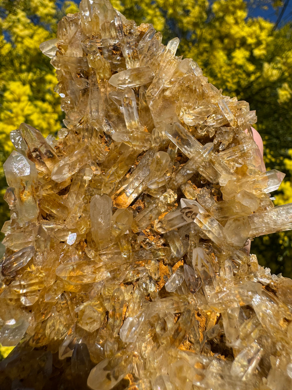 Golden Healer Quartz Floater Cluster with Multiple DT Crystals - High Quality