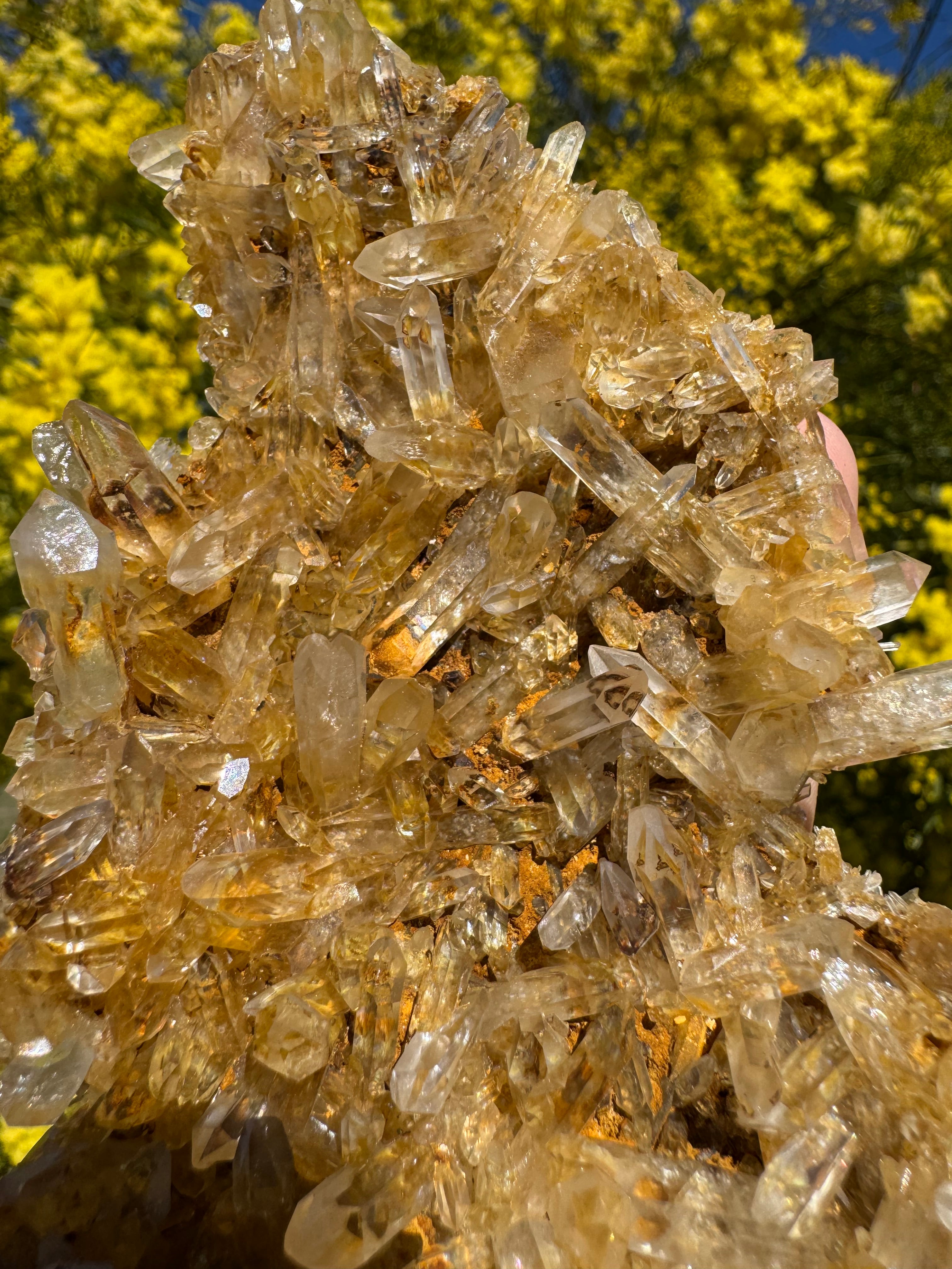 Golden Healer Quartz Floater Cluster with Multiple DT Crystals - High Quality