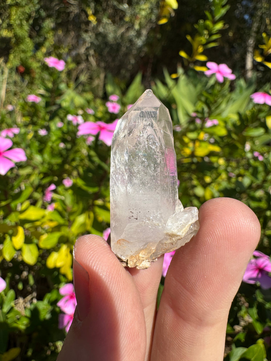 Vera Cruz Amethyst Enhydro Point - Stationary Bubble