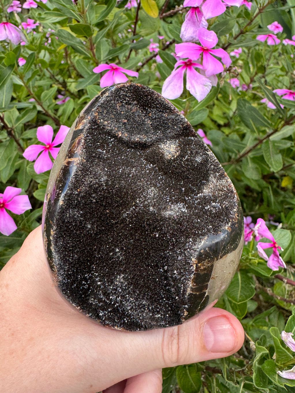 Septarian Druzy Egg with Calcite Inclusions