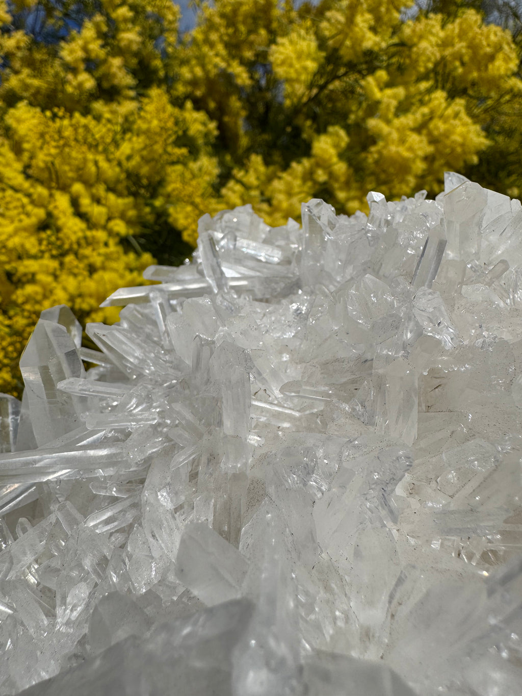Clear Quartz Cluster