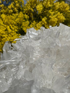 Clear Quartz Cluster